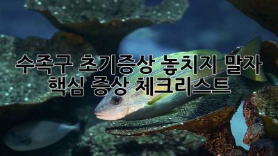 수족구 초기증상: 놓치지 말자! 핵심 증상 체크리스트