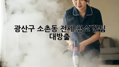 광산구 소촌동 전세 청소🧹 꿀팁 대방출!✨